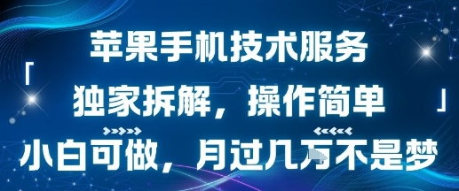 苹果手机技术服务，独家拆解，操作简单，小白可做，月过1W不是梦- / , :云网创-创业知识付费平台