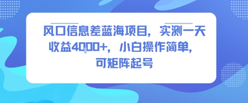 风口信息差蓝海项目,实测一天收益4k+,小白操作简单,可矩阵起号- / , :云网创-创业知识付费平台